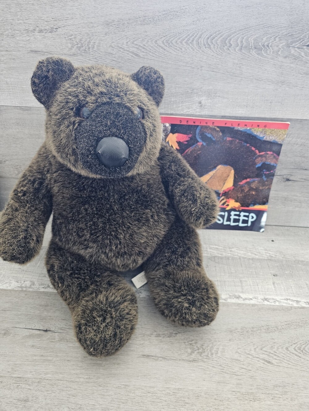 Time to Sleep Book by Fleming, Denise & 14" Plush Realistic Bear LOT